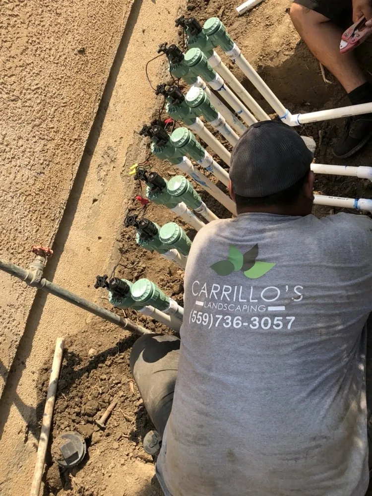 Affordable landscaping services in Visalia, CA by Carrillo's