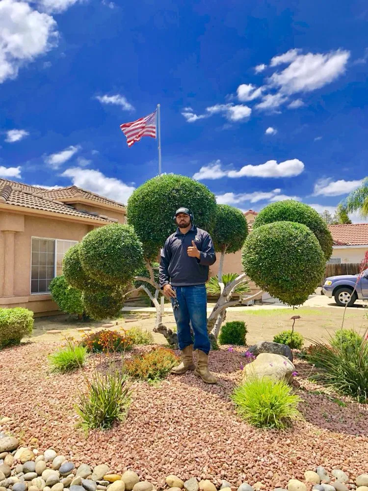 Custom residential landscaping in Visalia, CA - Carrillo's
