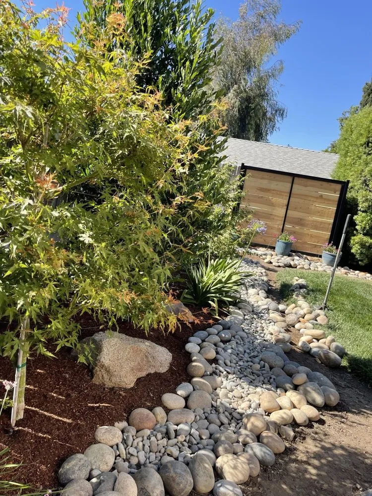 Affordable yard maintenance in Visalia, CA - Carrillo's