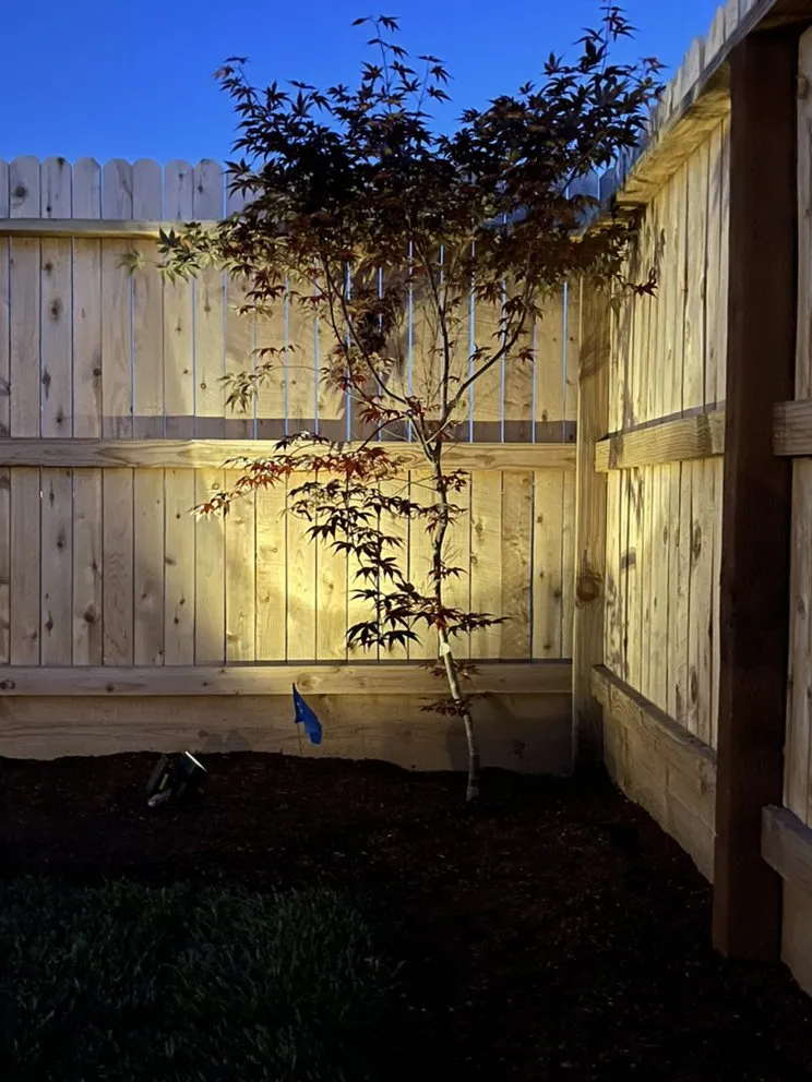 Affordable residential landscaping in Visalia, CA by Carrillo's