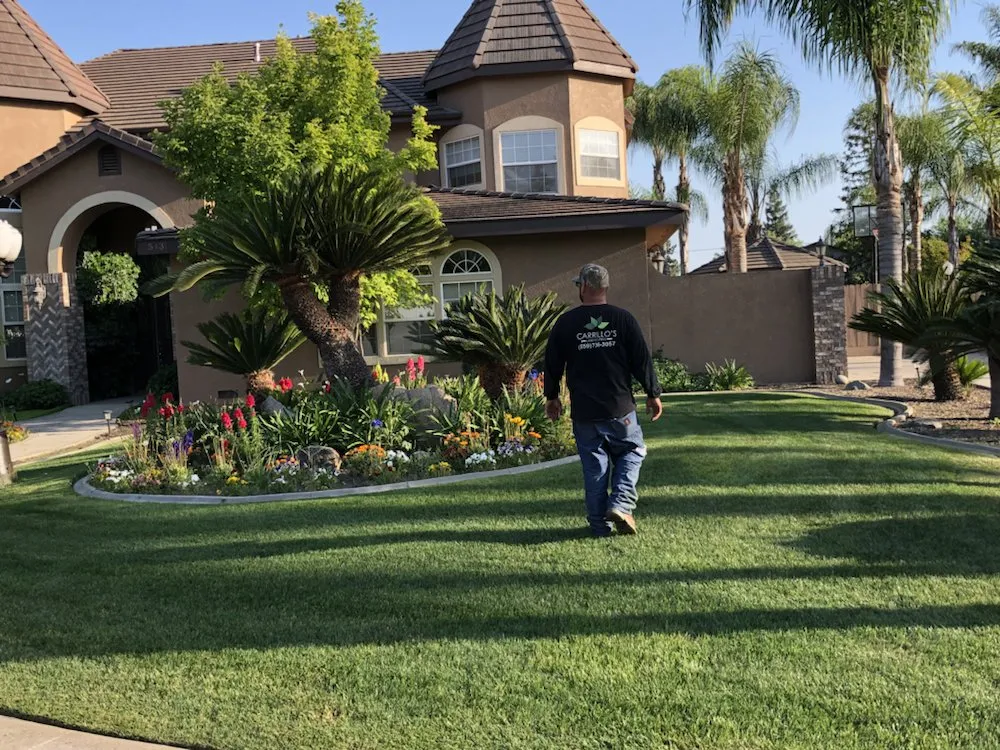 Local landscape installation in Visalia, CA by Carrillo's
