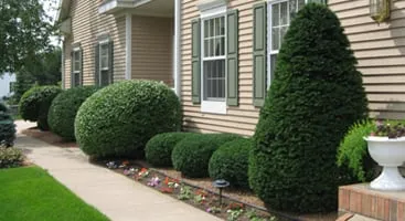 Reliable lawn mowing service for year-round maintenance across Middleton, WI - Carrington Lawn & Landscape