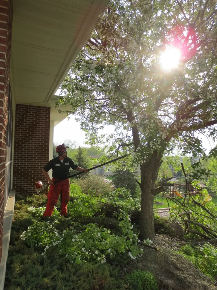 Expert lawn care service in Middleton, WI - Carrington Lawn & Landscape