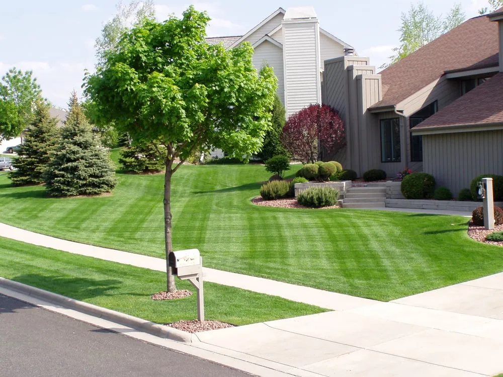 Top-rated outdoor landscaping in Middleton, WI by Carrington Lawn & Landscape