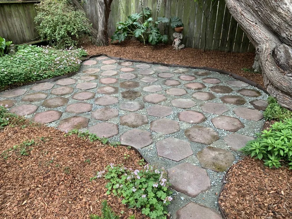 Expert landscape design for year-round maintenance in Richmond, CA by Carrisalinc General Contractor
