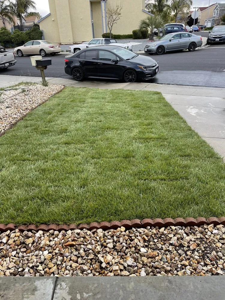 Local residential landscaping for beautiful yards in Richmond, CA by Carrisalinc General Contractor