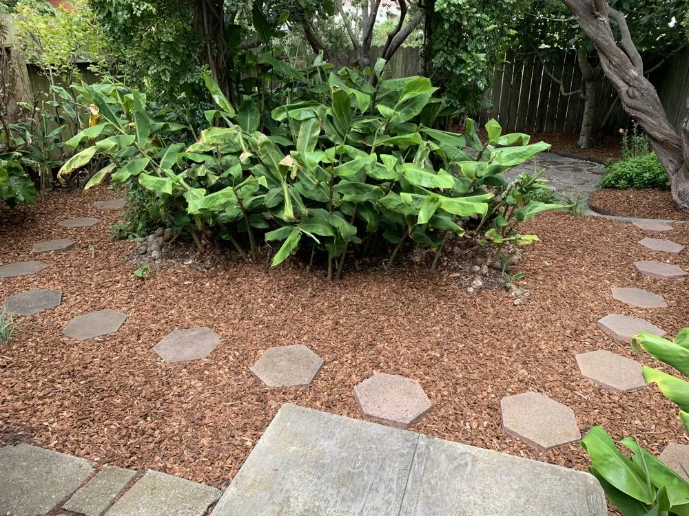 Top-rated lawn mowing service for beautiful yards in Richmond, CA by Carrisalinc General Contractor