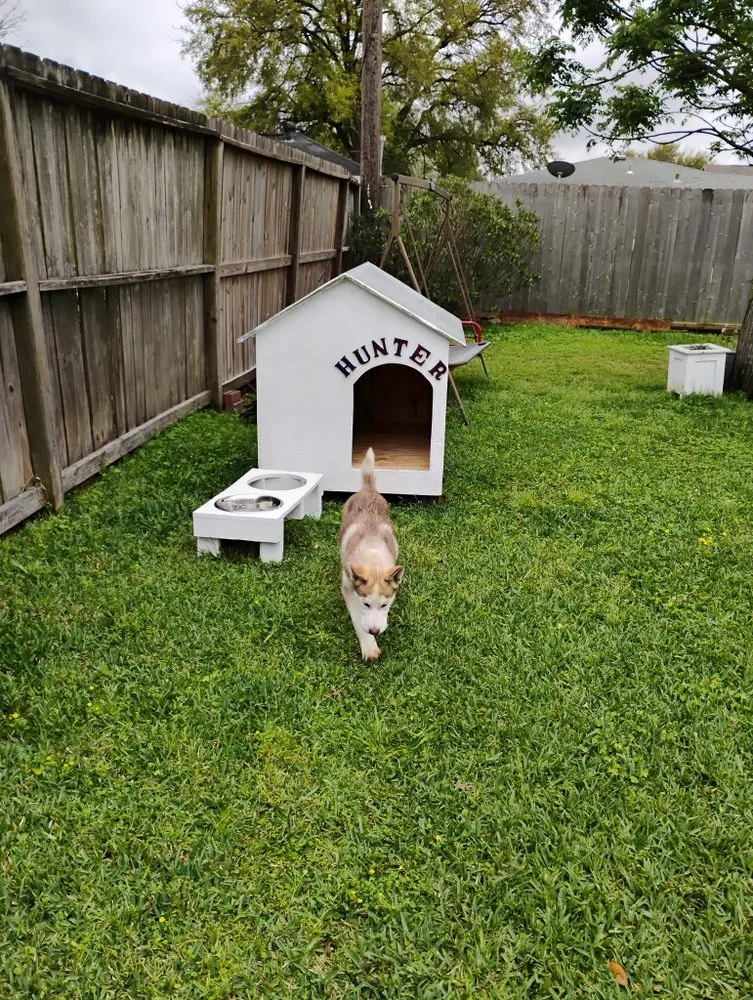Trusted lawn mowing service for year-round maintenance in Pasadena, TX by Carrizal Lawn Service