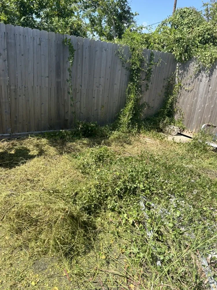 Expert residential landscaping in Pasadena, TX by Carrizal Lawn Service