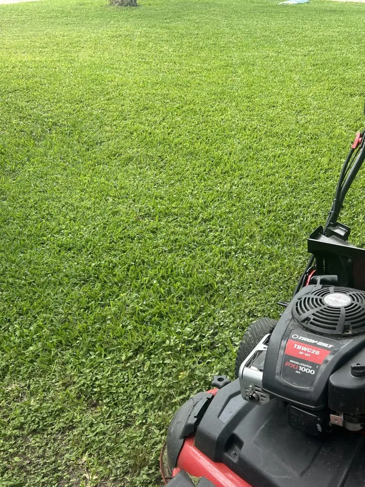 Custom landscaping services in Pasadena, TX - Carrizal Lawn Service