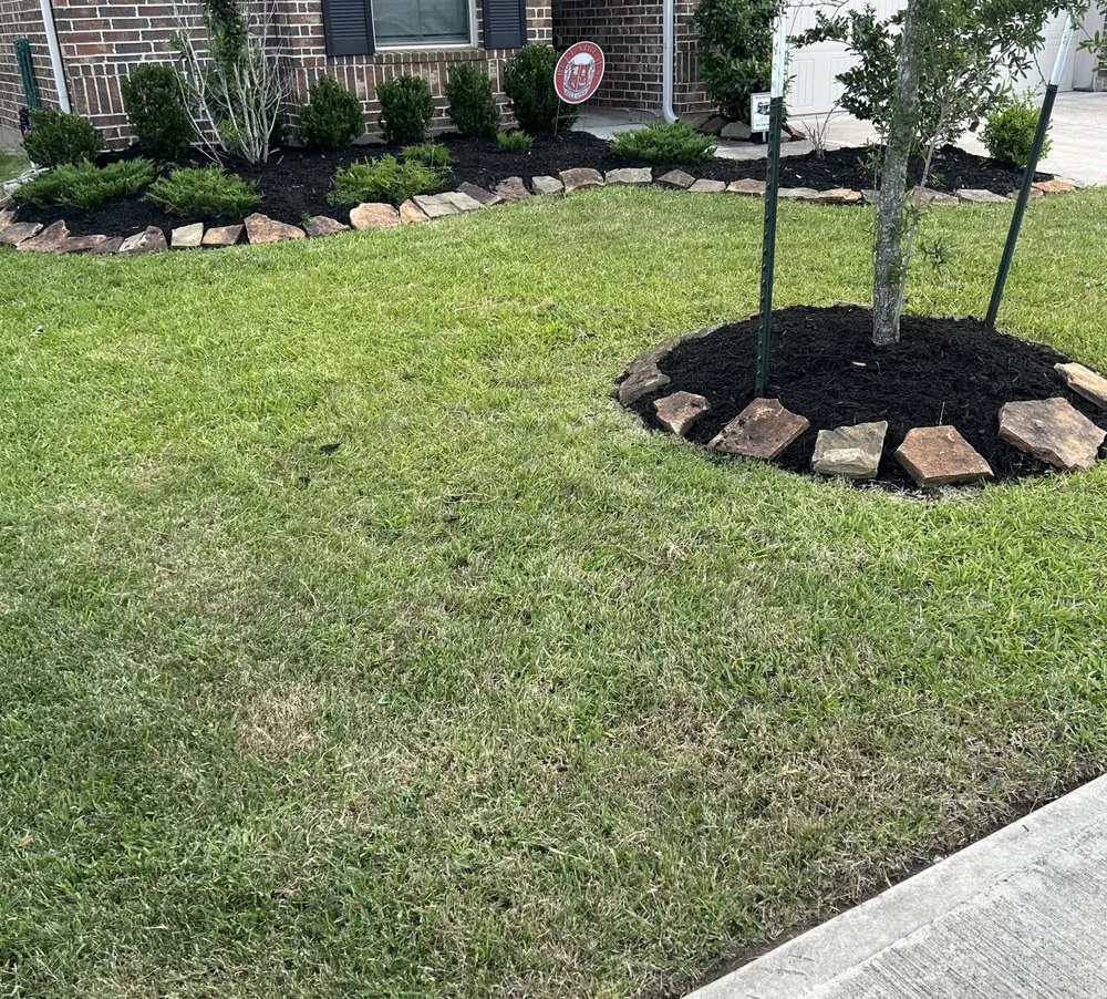 Affordable lawn mowing service experts serving Pasadena, TX - Carrizal Lawn Service