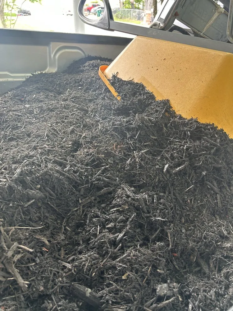 Professional yard cleanup service in Pasadena, TX - Carrizal Lawn Service