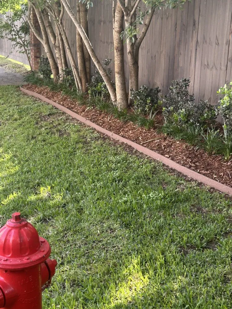 Top-rated residential landscaping in Pasadena, TX - Carrizal Lawn Service