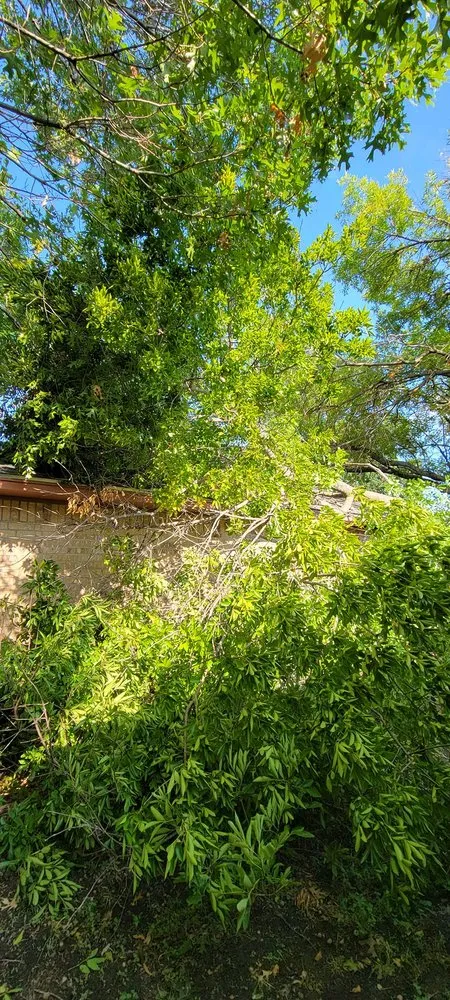 Custom landscape installation in Waxahachie, TX - Carroll Contracting Services