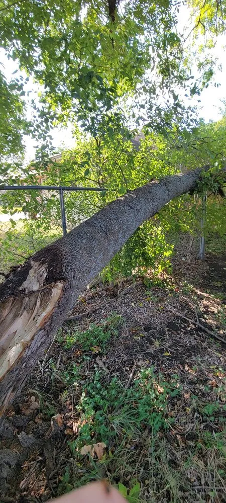 Trusted outdoor landscaping near you in Waxahachie, TX by Carroll Contracting Services