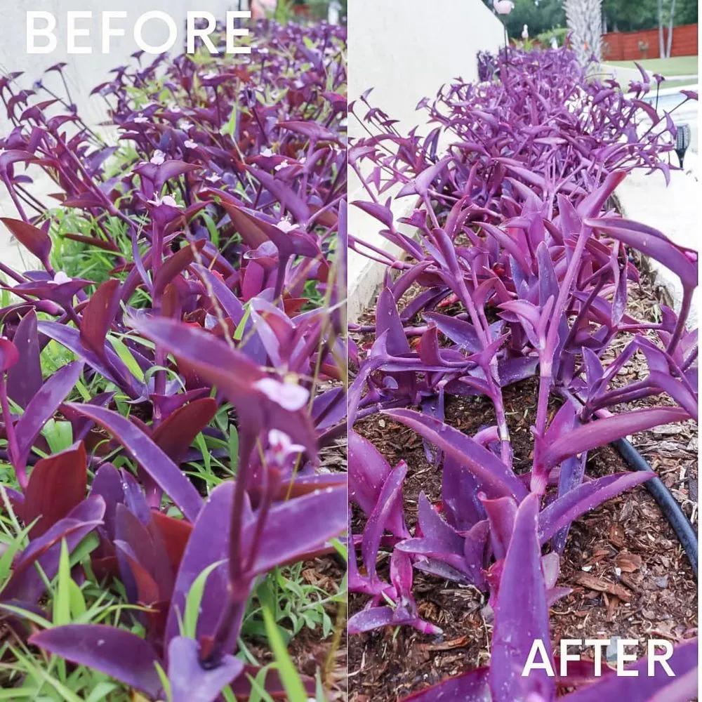 Affordable lawn care service experts serving Waxahachie, TX - Carroll Contracting Services