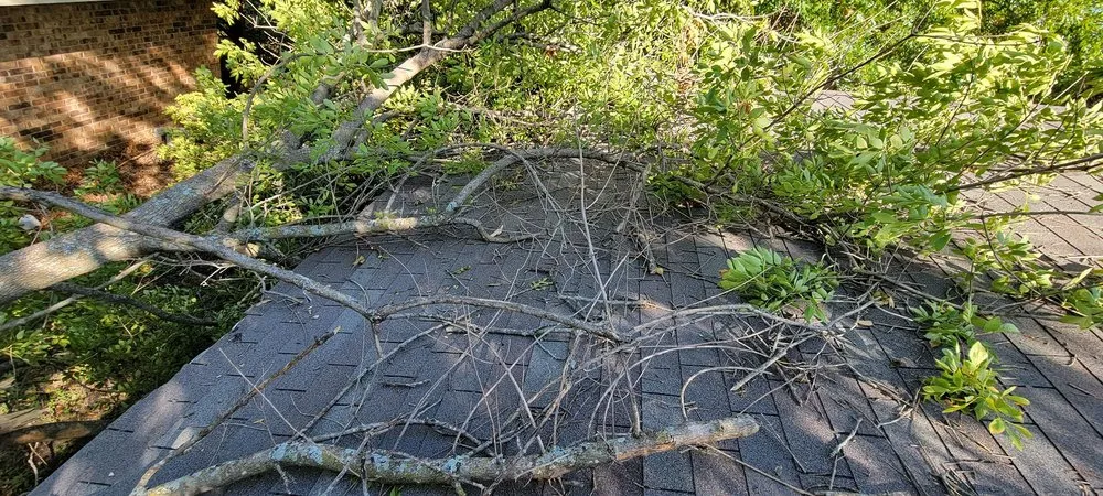 Reliable outdoor landscaping for year-round maintenance across Waxahachie, TX - Carroll Contracting Services