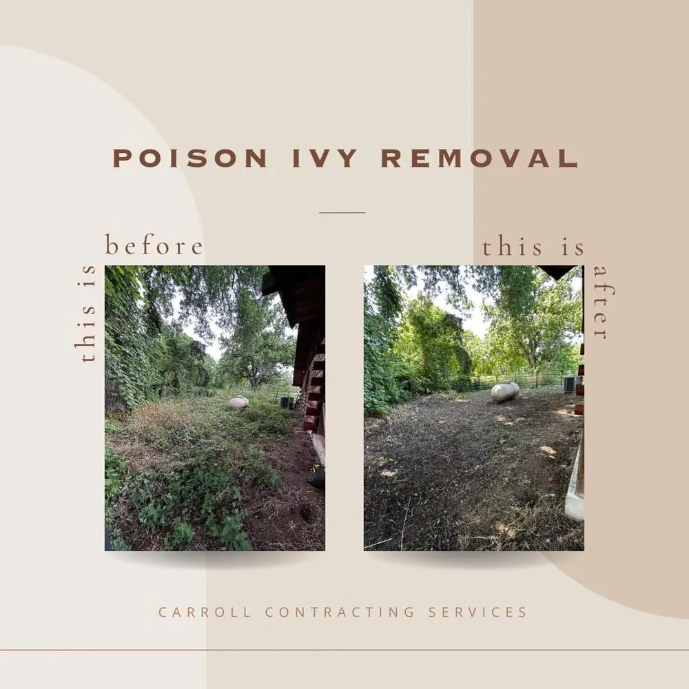 Trusted yard cleanup service experts serving Waxahachie, TX - Carroll Contracting Services