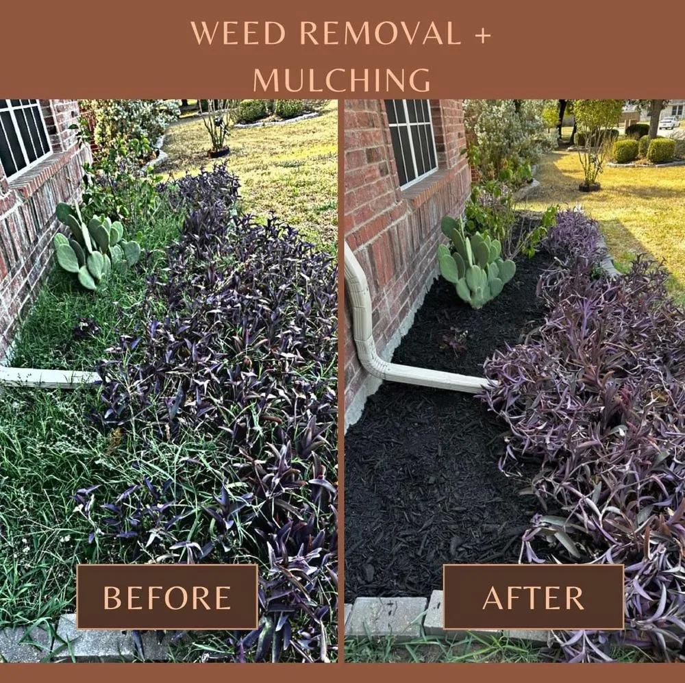 Top-rated landscaping services for year-round maintenance in Waxahachie, TX by Carroll Contracting Services