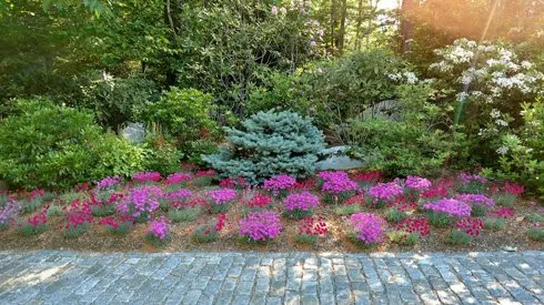 Top-rated yard maintenance in Wolfeboro, NH - Carroll County Landscape