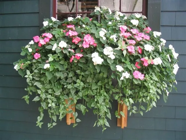 Local landscape installation for beautiful yards in Wolfeboro, NH by Carroll County Landscape