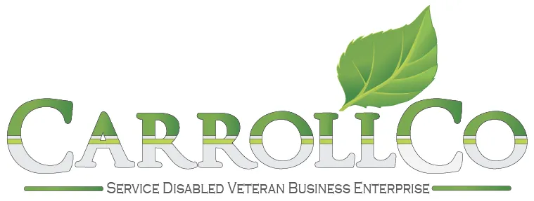 Top-rated lawn care service for outdoor upgrades in Fresno, CA by CarrollCo