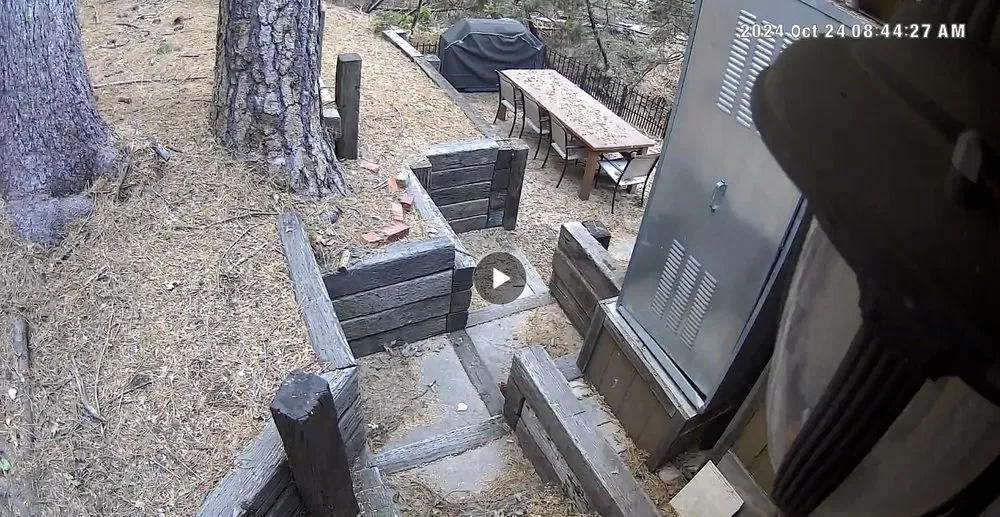 Top-rated lawn mowing service experts serving Crestline, CA - Carroll's Cleanup & Hauling