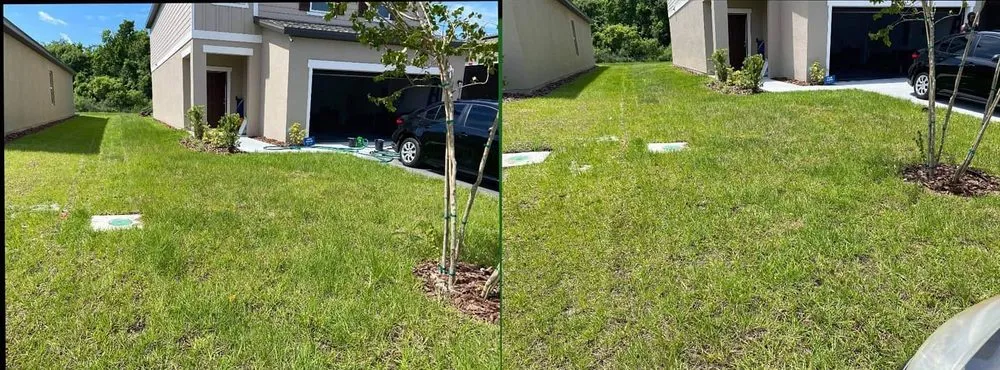 Top-rated landscape design experts serving Orlando, FL - Carroll's Land Art