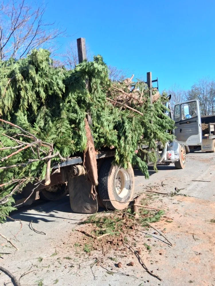 Trusted yard cleanup service in Evington, VA - Carroll's Pressure Washing & Yard Care