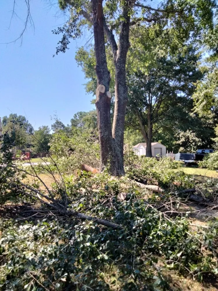 Local outdoor landscaping in Spartanburg, SC by Carrolls