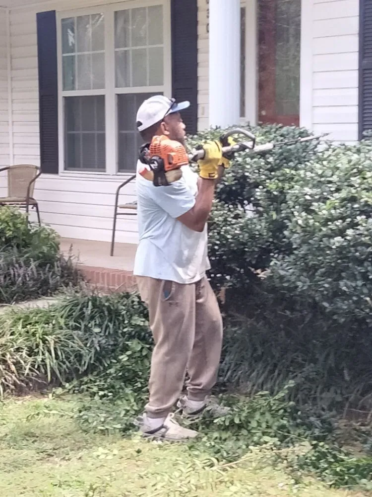 Professional landscape design in Spartanburg, SC - Carrolls