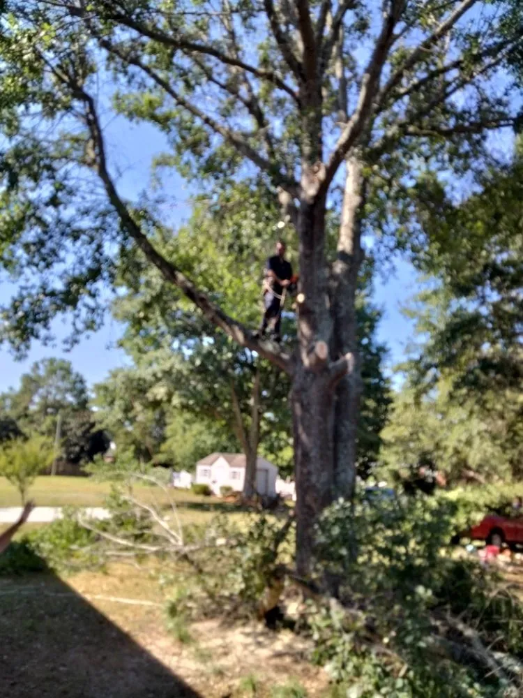 Custom landscape installation for homes in Spartanburg, SC by Carrolls