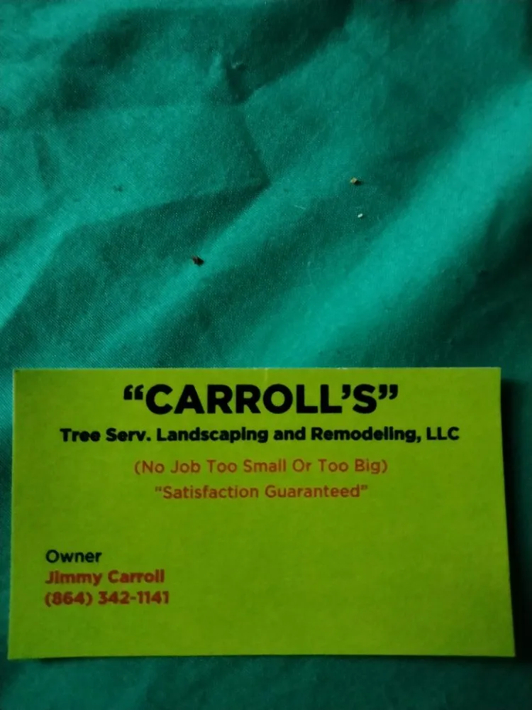 Affordable landscape design for year-round maintenance in Spartanburg, SC by Carrolls