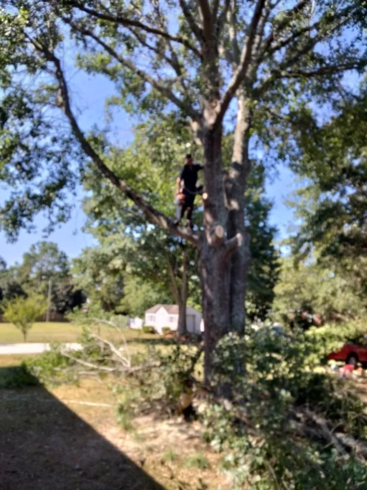 Top-rated lawn mowing service experts serving Spartanburg, SC - Carrolls