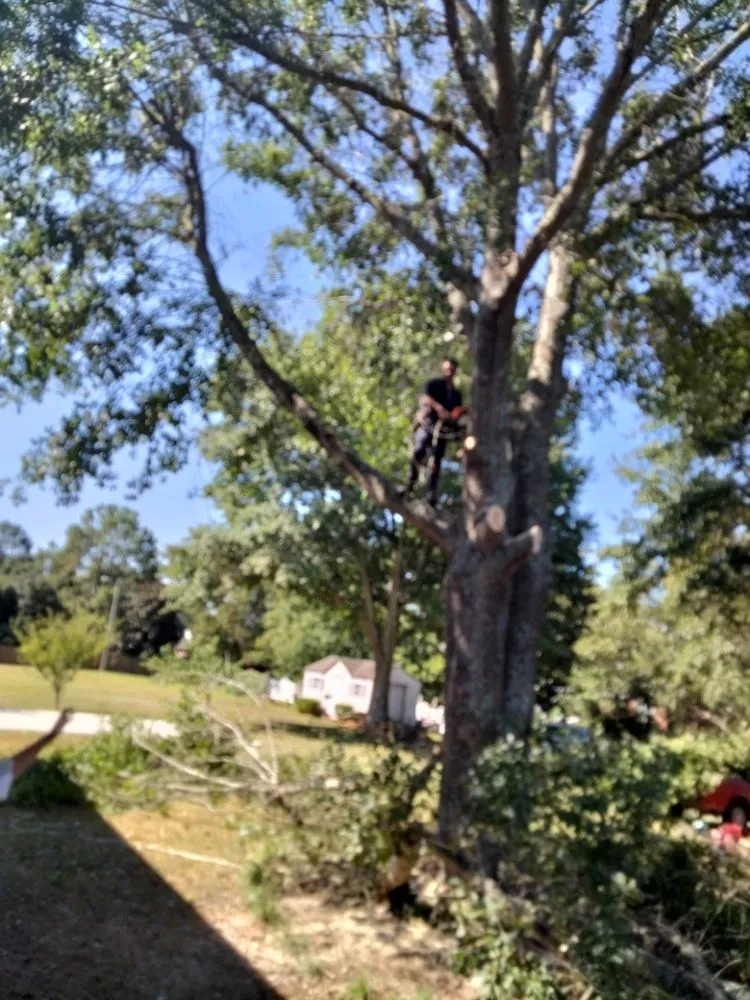 Expert yard cleanup service experts serving Spartanburg, SC - Carrolls