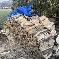 Reliable outdoor landscaping with custom design across Redkey, IN - Carrolls Tree Service