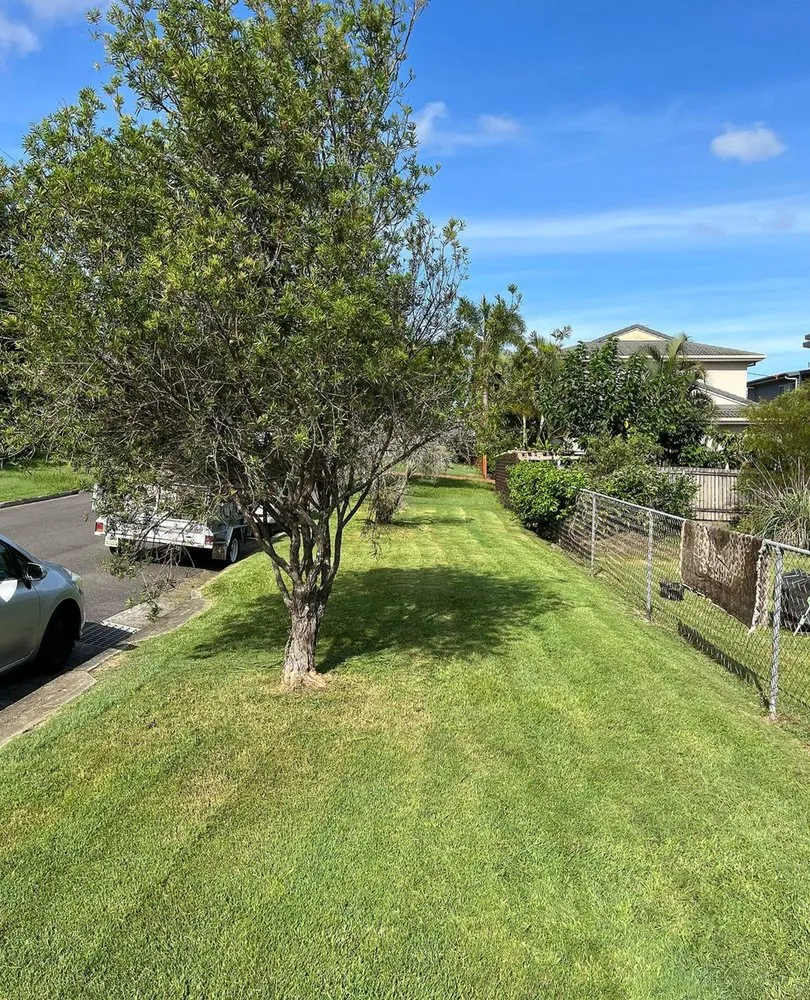 Trusted garden landscaping in Temple Terr, FL - Carrollwood Lawn Care