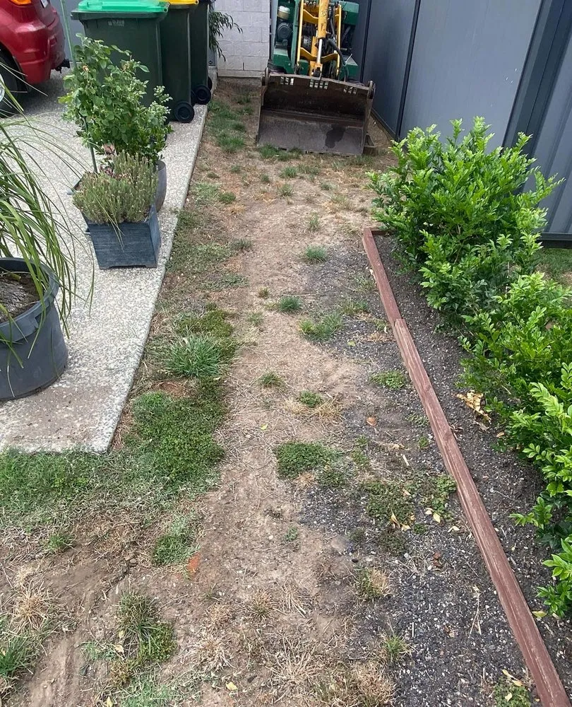 Reliable landscaping services with custom design in Temple Terr, FL by Carrollwood Lawn Care