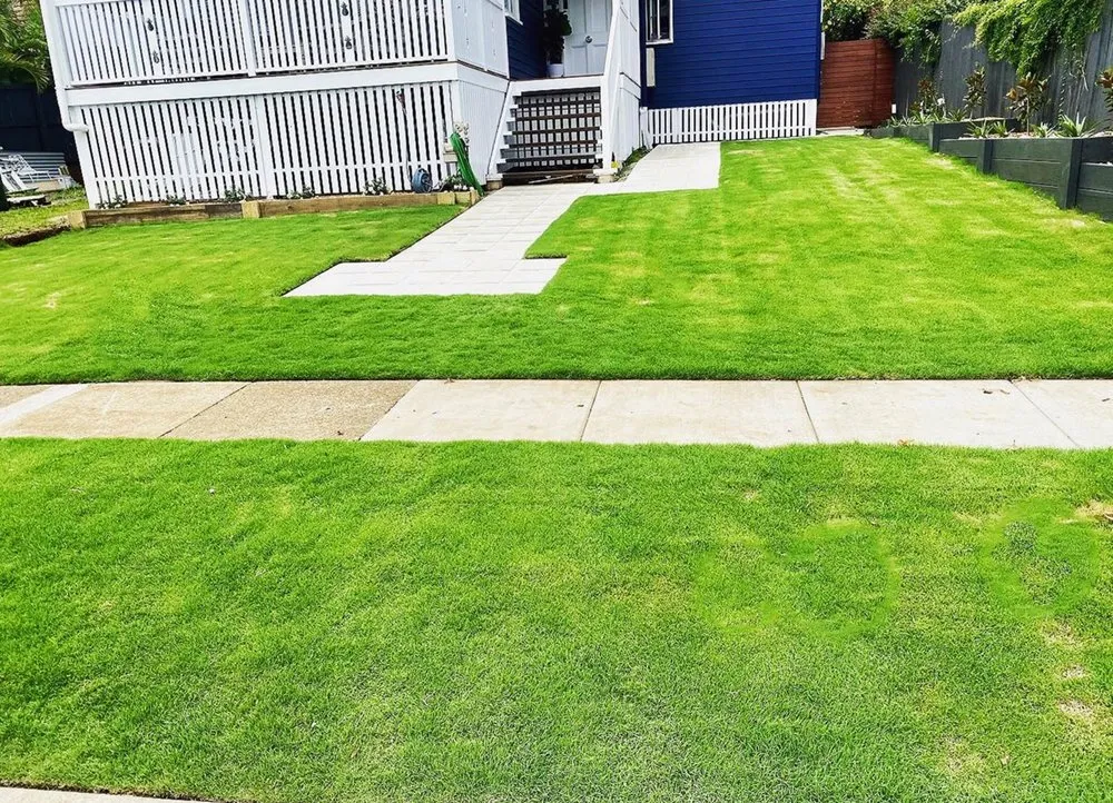Expert yard maintenance for beautiful yards in Temple Terr, FL by Carrollwood Lawn Care