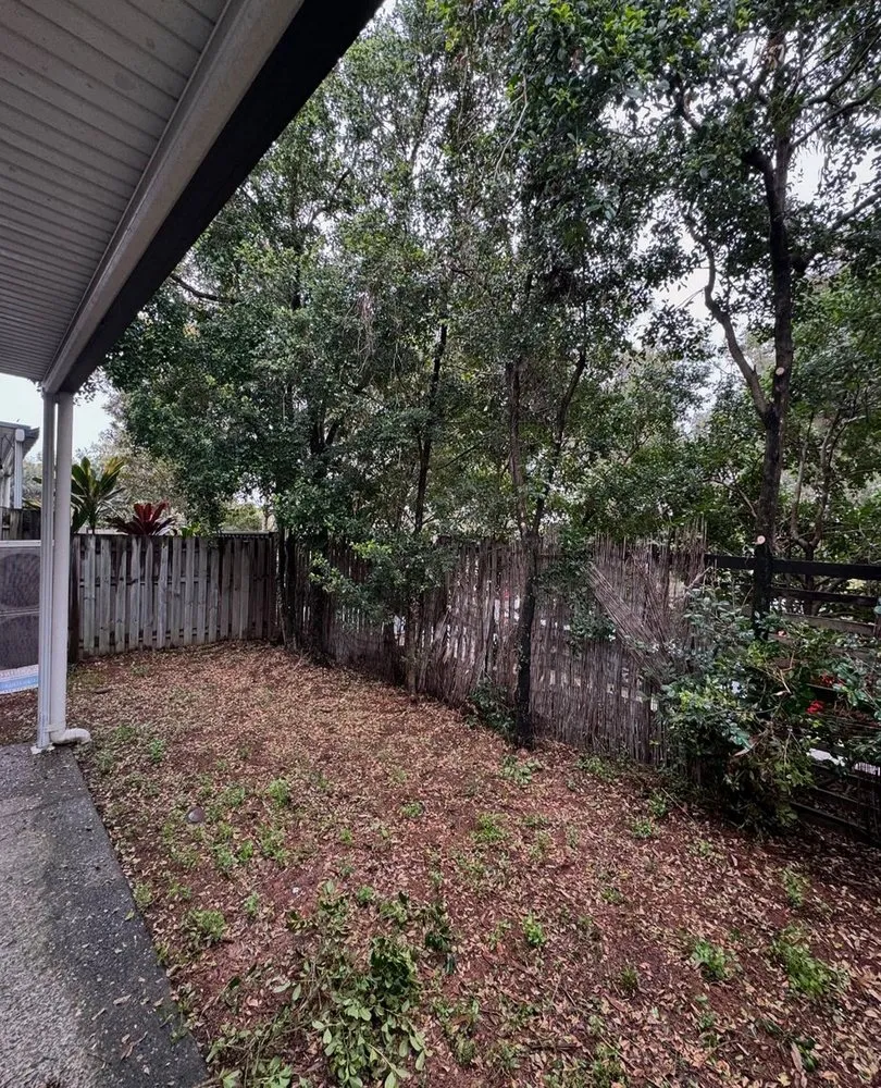 Expert yard maintenance in Temple Terr, FL by Carrollwood Lawn Care