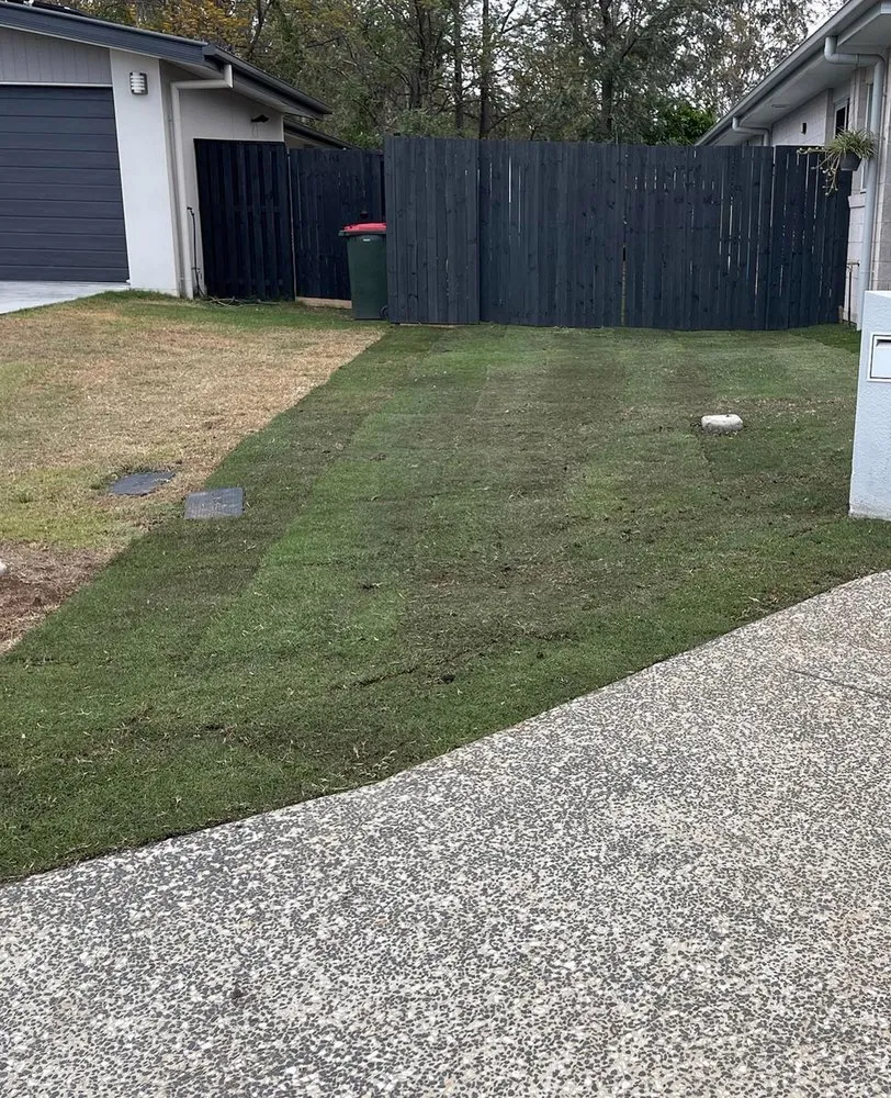 Trusted lawn mowing service in Temple Terr, FL - Carrollwood Lawn Care