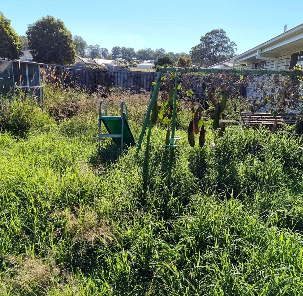 Professional yard maintenance near you in Temple Terr, FL by Carrollwood Lawn Care