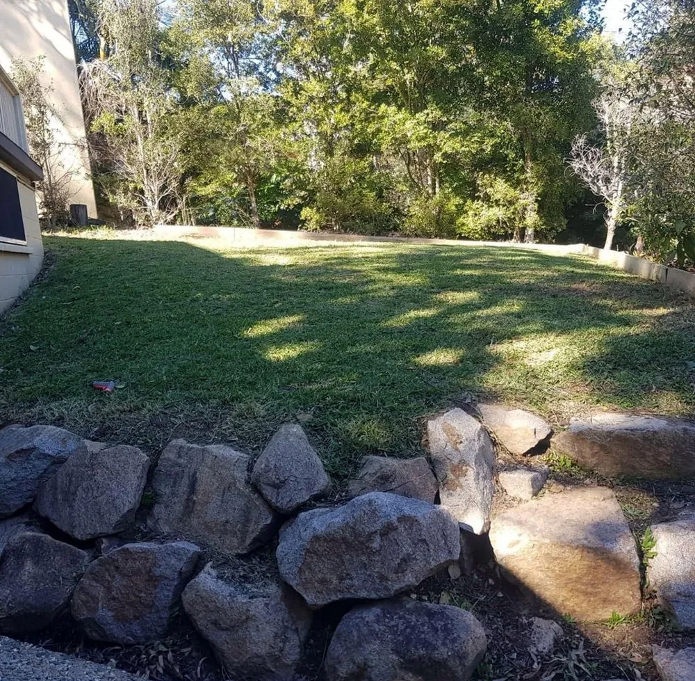 Expert lawn mowing service in Temple Terr, FL by Carrollwood Lawn Care