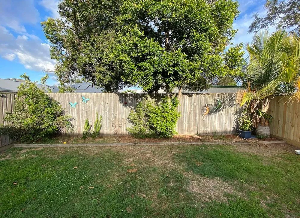 Affordable lawn care service in Temple Terr, FL - Carrollwood Lawn Care