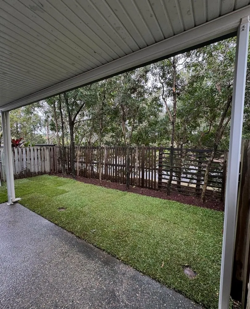 Local yard cleanup service in Temple Terr, FL - Carrollwood Lawn Care