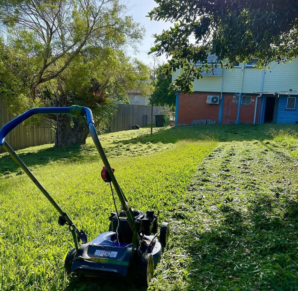 Professional garden landscaping in Temple Terr, FL by Carrollwood Lawn Care