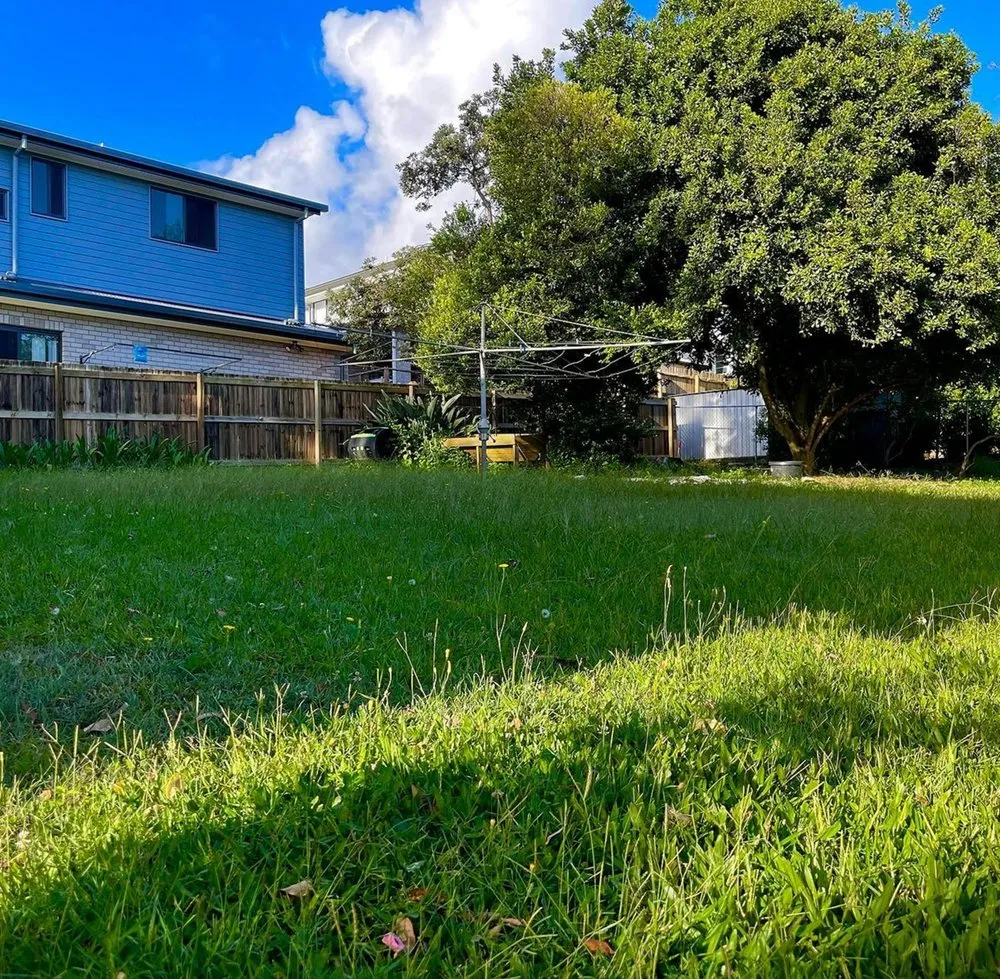 Affordable outdoor landscaping in Temple Terr, FL - Carrollwood Lawn Care