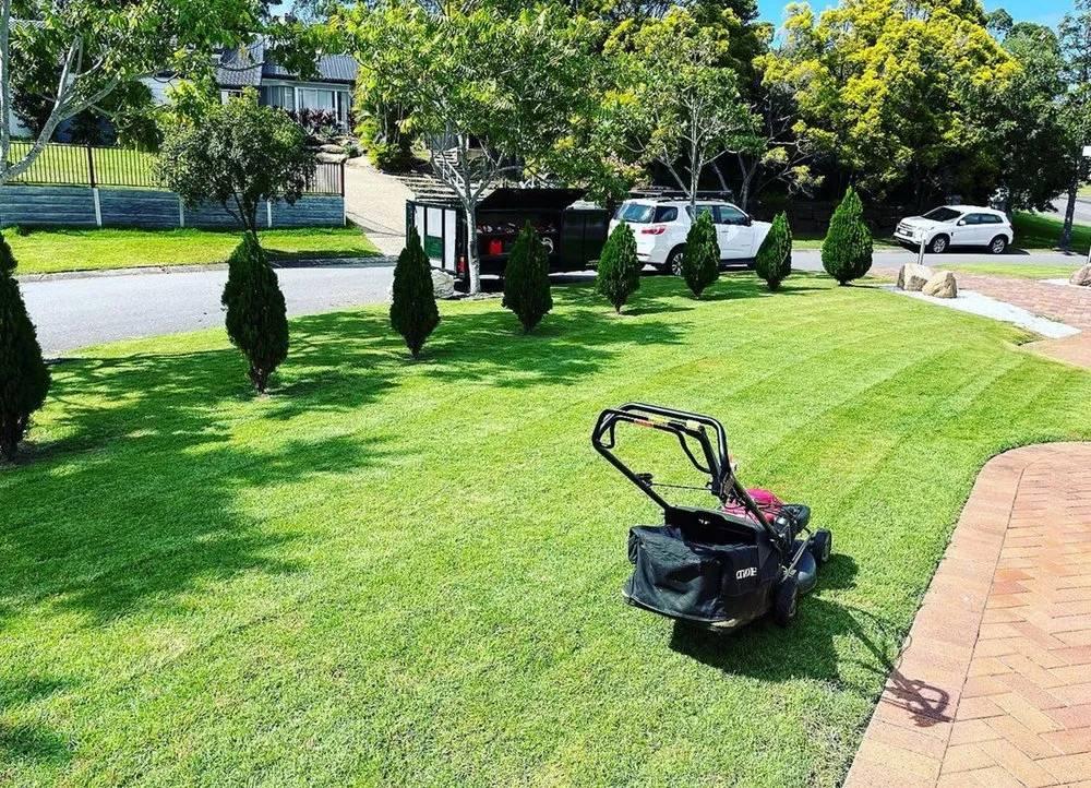 Trusted landscaping services for residential properties across Temple Terr, FL - Carrollwood Lawn Care