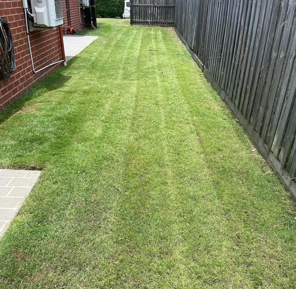 Top-rated lawn mowing service in Temple Terr, FL by Carrollwood Lawn Care