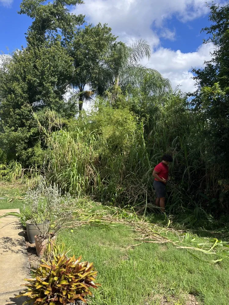 Professional yard maintenance in Lutz, FL by Carrows Land Management